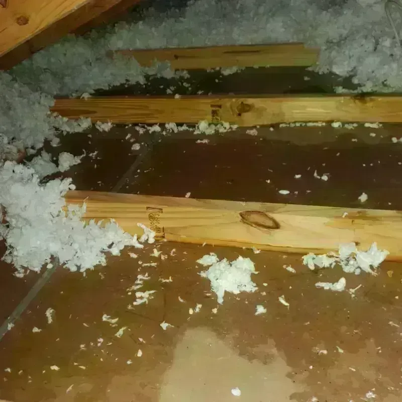 Attic Water Damage in Mills County, TX